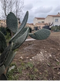 Photo numero 47937229 du bien UBI478335713